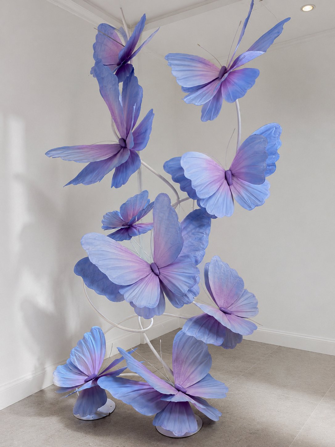 Blue and Purple Butterfly Display