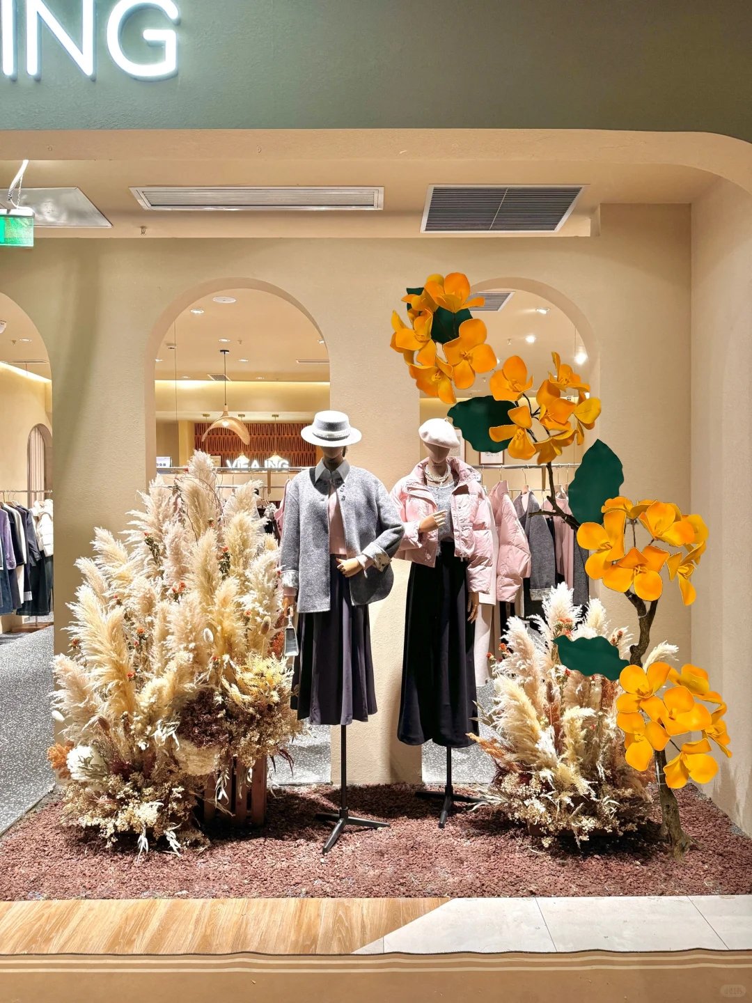 Hangzhou Giant Osmanthus Display