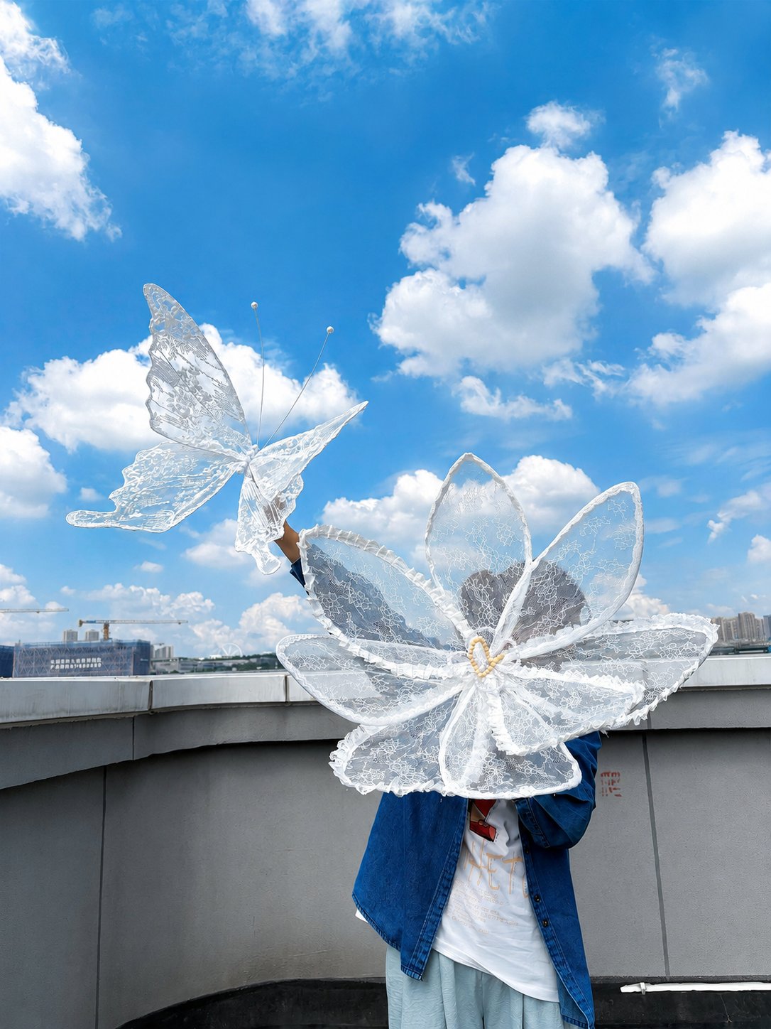 Lace Butterfly Art Installation