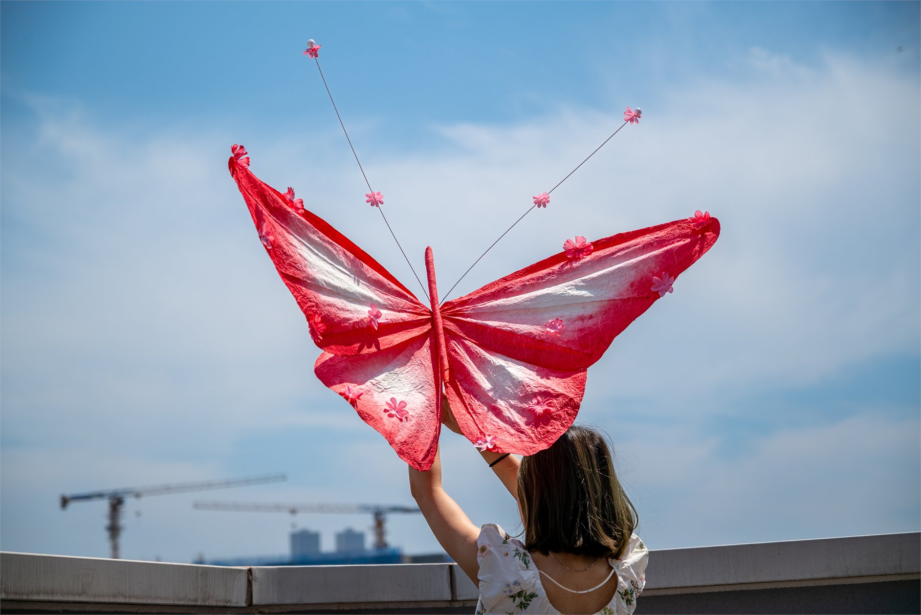 Guangzhou Red Paper Butterfly